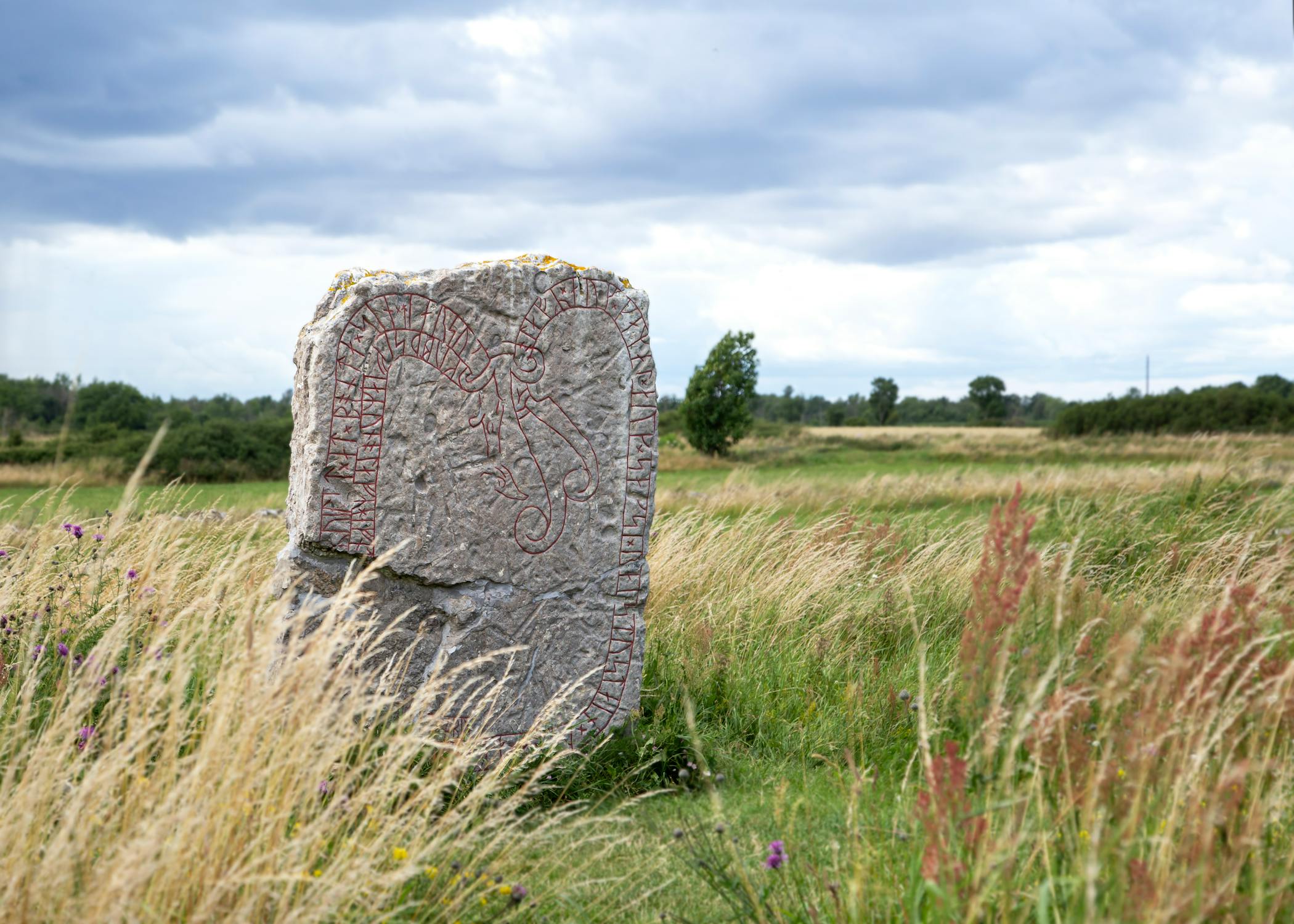 139 vikingagravar hittade av misstag